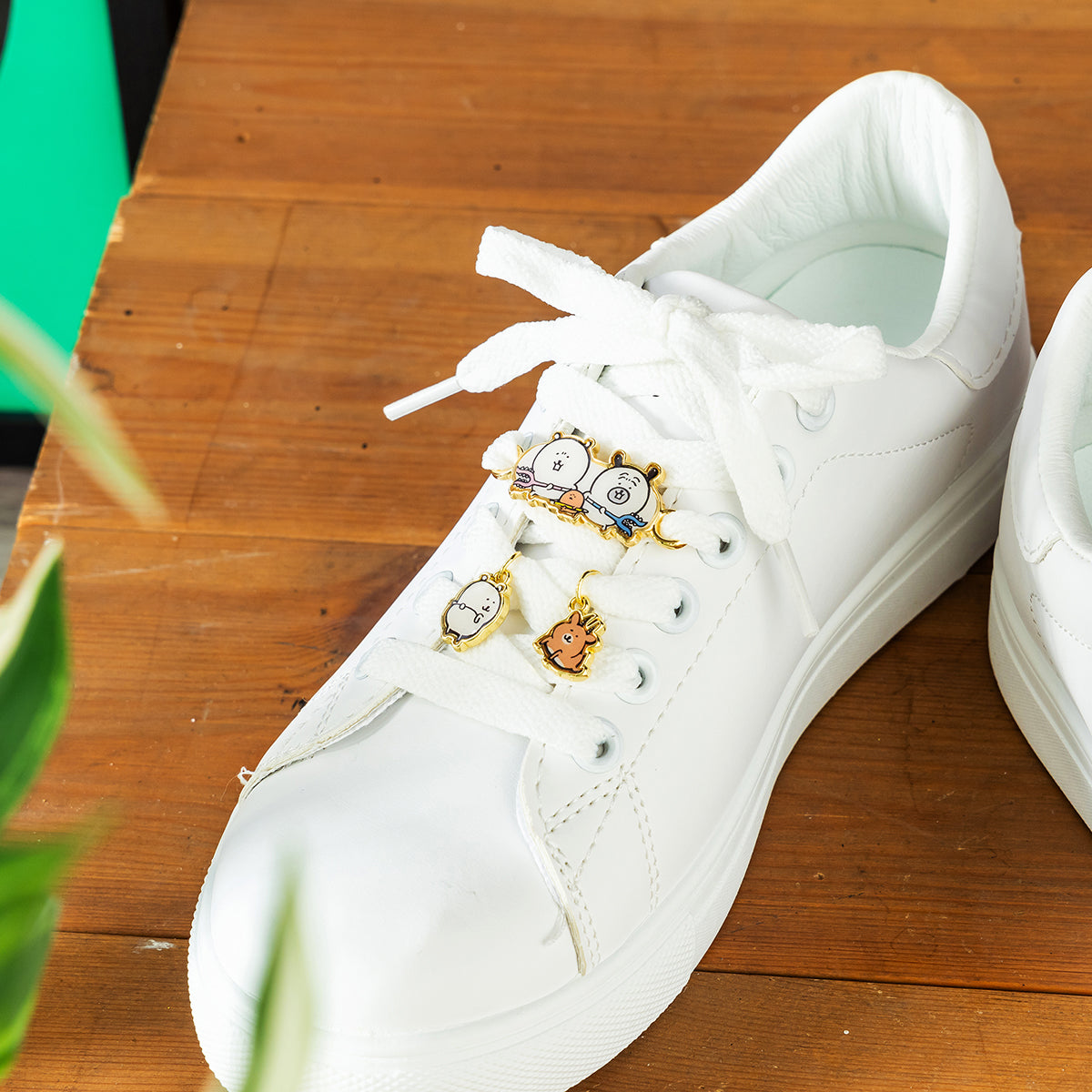 Nagano Market ShoesAccessories (Nagano Friends)