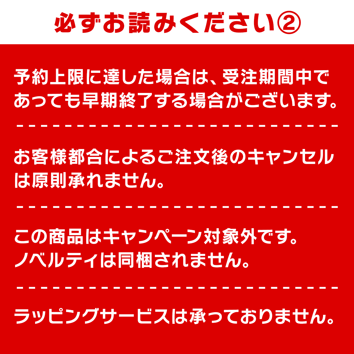 【予約】ナガノマーケット シルバーネックレス(オニキス)【3月上旬発送】【他の商品と同時購入不可】【キャンペーン対象外】