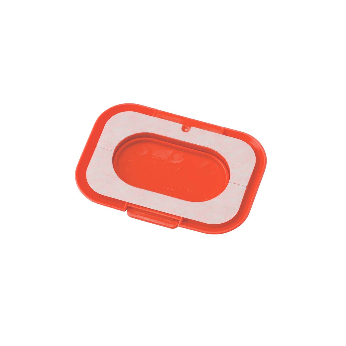 나가노쿠마 비타민