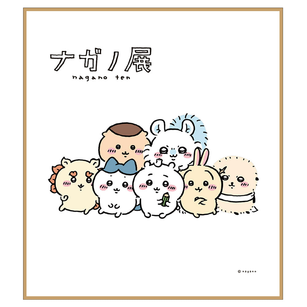 Nagano Friends Color 03