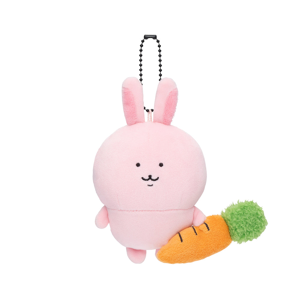 Nagano Characters FRIENDS Mascot (Rabbit)