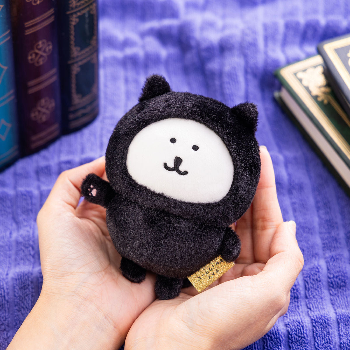 ナガノキャラクターズ くろねこなくまマスコット