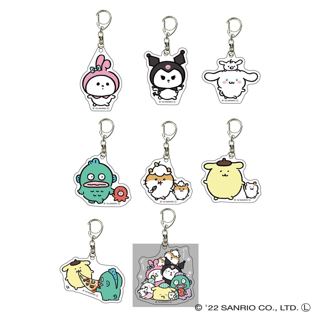 Nagano x Sanrio Character Trading Acrylic Keychain All 8 types